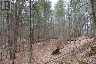 Photo 13: 00 Faraway in Espanola: Vacant Land for sale : MLS®# 2115111