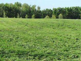 Photo 3: Lot 12 420054 Range Road 283: Rimbey Residential Land for sale : MLS®# A1228400