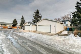 Photo 18: 3024 32A Street SE in Calgary: Dover Detached for sale : MLS®# A1175138