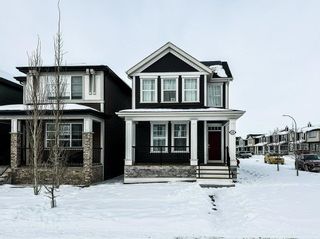 Photo 1: 144 Evanscrest Park NW in Calgary: Evanston Detached for sale : MLS®# A2028537