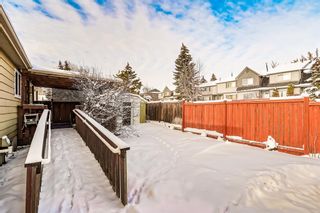 Photo 34: 232 Erin Mount Crescent SE in Calgary: Erin Woods Detached for sale : MLS®# A2022417