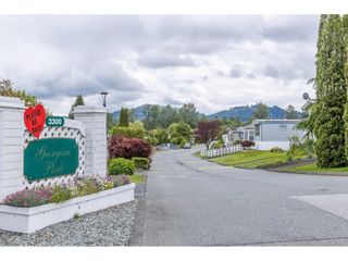 Photo 33: 35 3300 HORN Street in Abbotsford: Central Abbotsford Manufactured Home for sale in "Georgian Park" : MLS®# R2702384