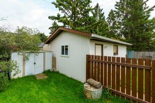 Photo 26: 1227 Downie Street: Carstairs Detached for sale : MLS®# A2077437