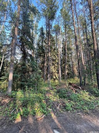 Photo 4: Ridge road North 5 acre in Hudson Bay: Lot/Land for sale : MLS®# SK907644