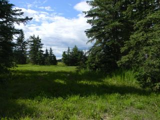 Photo 4: 108 Meadow Ponds Drive: Rural Clearwater County Land for sale : MLS®# A1021134