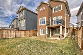 Photo 47: 429 Nolan Hill Boulevard NW in Calgary: Nolan Hill Detached for sale : MLS®# A2093146