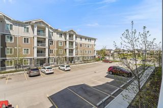Photo 29: 4209 522 Cranford Drive SE in Calgary: Cranston Apartment for sale : MLS®# A2048805