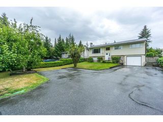 Photo 5: 20250 48 AVENUE in Langley: Langley City Home for sale ()  : MLS®# R2305434
