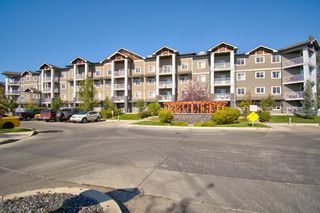 Photo 2: 3201 115 Prestwick Villas SE in Calgary: McKenzie Towne Apartment for sale : MLS®# A1255685