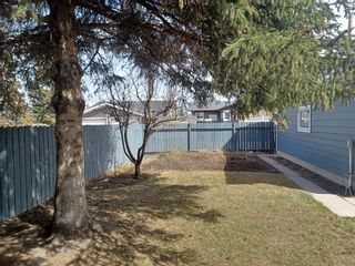 Photo 17: 164 Maitland Drive NE in Calgary: Marlborough Park Detached for sale : MLS®# A2043676