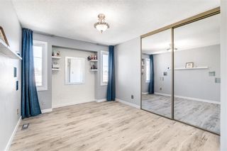 Photo 19: 294 Murray Avenue in Winnipeg: Riverbend Residential for sale (4E)  : MLS®# 202304070
