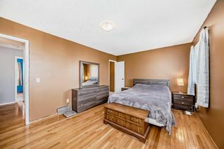 Photo 20: 35 Templemont Drive NE in Calgary: Temple Semi Detached (Half Duplex) for sale : MLS®# A2130143