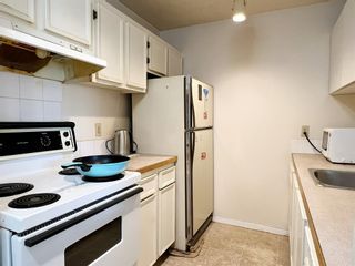 Photo 7: 502 116 3 Avenue SE in Calgary: Chinatown Apartment for sale : MLS®# A2050498