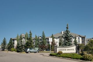 Photo 25: 517, 55 ARBOUR GROVE Close NW in Calgary: Arbour Lake Apartment for sale : MLS®# A1027677