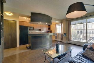 Photo 6: 302 1730 7 Street SW in Calgary: Lower Mount Royal Apartment for sale : MLS®# A2080352