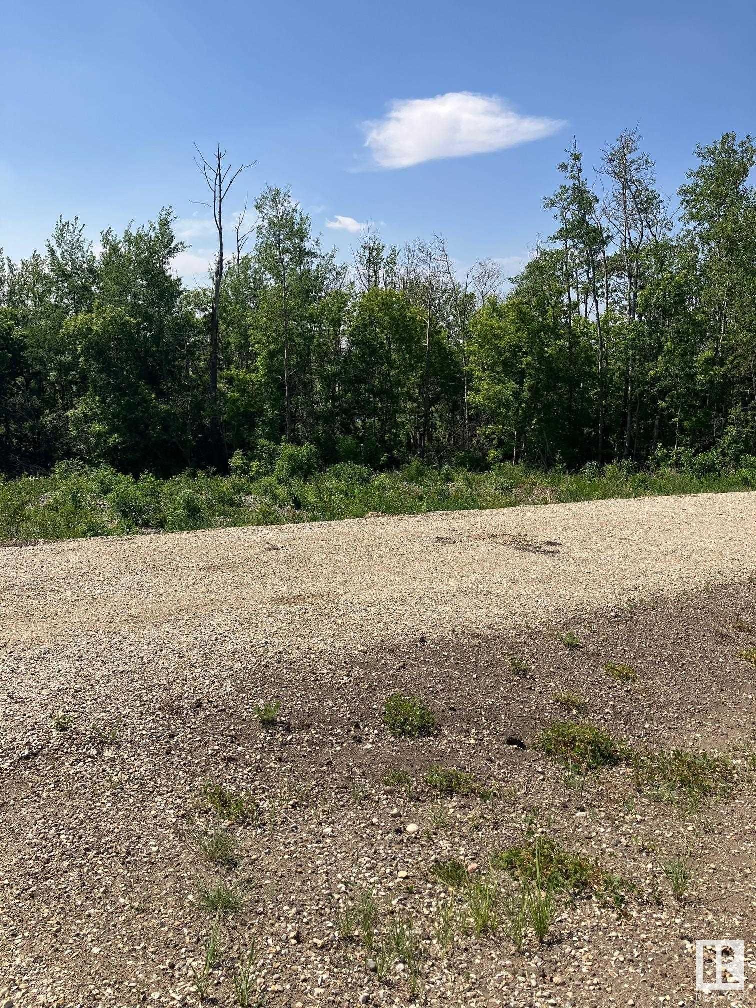 Main Photo: 26319 Meadowview Drive: Rural Sturgeon County Vacant Lot/Land for sale : MLS®# E4330691