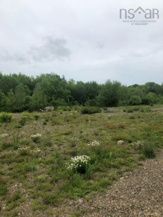 Photo 11: Lot Morganville Road in Bear River: Annapolis County Vacant Land for sale (Annapolis Valley)  : MLS®# 202213446