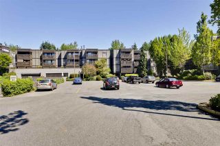 Photo 13: 116 13507 96 Street in Surrey: Whalley Condo for sale in "Parkwoods - Balsam" (North Surrey)  : MLS®# R2180405