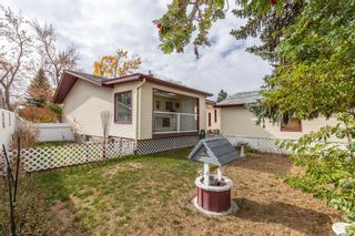 Photo 39: 144 Franklin Drive SE in Calgary: Fairview Detached for sale : MLS®# A1150198