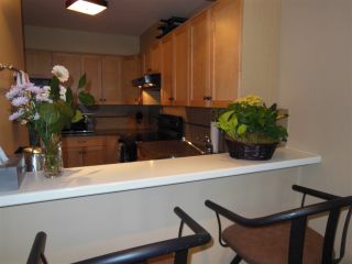 Photo 8: 301 360 E 2ND Street in North Vancouver: Lower Lonsdale Condo for sale in "Emerald Manor" : MLS®# R2084102