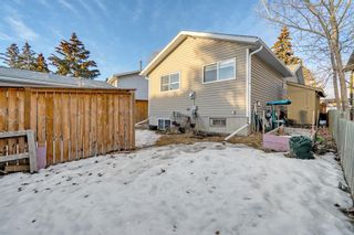 Photo 20: 80 Erin Croft Place SE in Calgary: Erin Woods Detached for sale : MLS®# A2021807