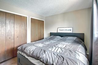 Photo 18: 159 Falton Way NE in Calgary: Falconridge Detached for sale : MLS®# A1113632