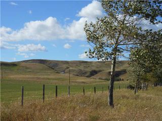 Photo 6: 161058 Secondary Highway 533 in NANTON: Rural Willow Creek M.D. Residential Detached Single Family for sale : MLS®# C3539475