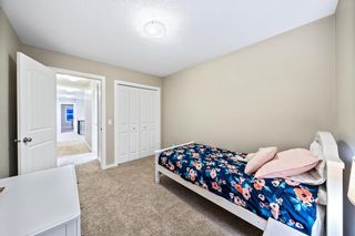 Photo 34: 23 Marquis Green SE in Calgary: Mahogany Detached for sale : MLS®# A2052556
