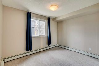Photo 17: 305 2515 14A Street SW in Calgary: Bankview Apartment for sale : MLS®# A2123409