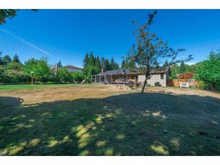 Photo 19: 14122 57A Avenue in Surrey: Sullivan Station House for sale : MLS®# R2229778