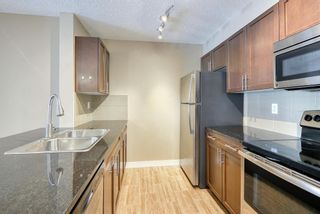 Photo 20: 1110 1317 27 Street SE in Calgary: Albert Park/Radisson Heights Apartment for sale : MLS®# A2051120