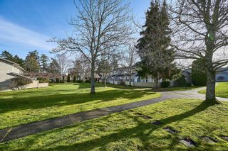 Photo 28: 59 2600 Ferguson Rd in Central Saanich: CS Turgoose Row/Townhouse for sale : MLS®# 921752