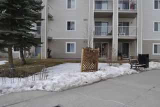 Photo 9: 121 1717 60 Street SE in Calgary: Red Carpet Apartment for sale : MLS®# A2026467
