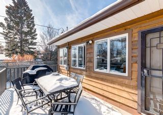 Photo 39: 1604 21A Street NW in Calgary: Hounsfield Heights/Briar Hill Detached for sale : MLS®# A2032588