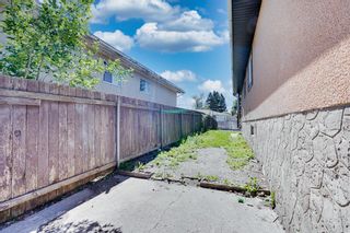 Photo 43: 6111 Penbrooke Drive SE in Calgary: Penbrooke Meadows Semi Detached (Half Duplex) for sale : MLS®# A1234370