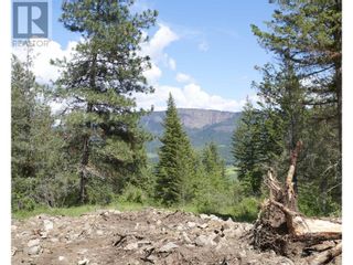 Photo 14: 345 Oxbow Place in Enderby: Vacant Land for sale : MLS®# 10309658