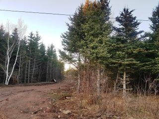 Photo 1: LOT MCNALLY Road in Victoria Harbour: 404-Kings County Vacant Land for sale (Annapolis Valley)  : MLS®# 201923444