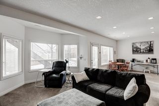 Photo 31: 202 Royal Birch View NW in Calgary: Royal Oak Detached for sale : MLS®# A2018751