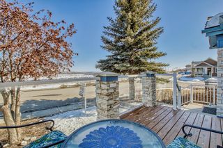 Photo 42: 346 CHAPARRAL RIDGE Circle in Calgary: Chaparral Detached for sale : MLS®# A2033916