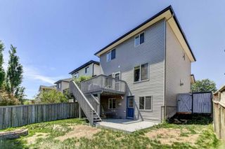 Photo 29: 125 Citadel Estates Terrace NW in Calgary: Citadel Detached for sale : MLS®# A2055056