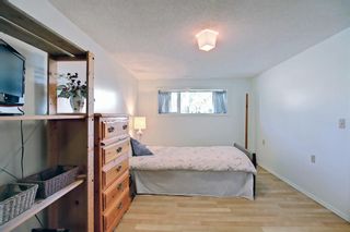 Photo 24: 231 Marlyn Place NE in Calgary: Marlborough Detached for sale : MLS®# A1246473