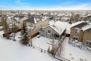 Photo 34: 69 Royal Birch Terrace NW in Calgary: Royal Oak Detached for sale : MLS®# A2025884