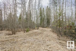 Photo 10: 22 Lakeshore Drive Greystones: Rural Wetaskiwin County Rural Land/Vacant Lot for sale : MLS®# E4291248