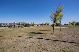 Photo 24: 401 117 Copperpond Common SE in Calgary: Copperfield Apartment for sale : MLS®# A1149043