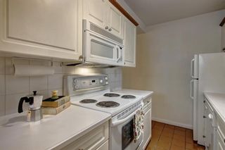 Photo 11: 101 701 3 Avenue NW in Calgary: Sunnyside Apartment for sale : MLS®# A1212554