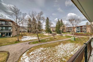 Photo 22: 92E 231 Heritage Drive SE in Calgary: Acadia Apartment for sale : MLS®# A2128659