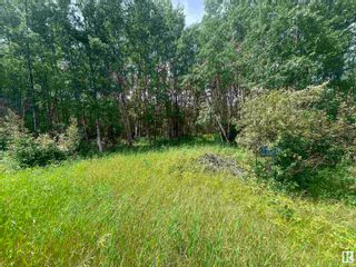 Photo 1: 16 453001 HWY 771: Rural Wetaskiwin County Rural Land/Vacant Lot for sale : MLS®# E4304815