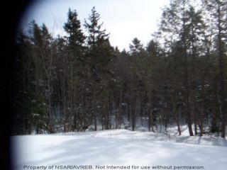 Photo 3: Lot 2 ELSHIRL Road in Plymouth: 108-Rural Pictou County Vacant Land for sale (Northern Region)  : MLS®# 202112048