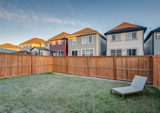Photo 41: 244 MASTERS Crescent SE in Calgary: Mahogany Detached for sale : MLS®# A1216676