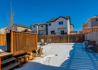 Photo 29: 2846 Chinook Winds Drive SW: Airdrie Detached for sale : MLS®# A2042744